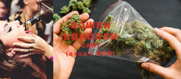 PSILOCYBIN Арсеньев