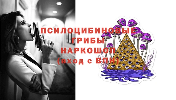стаф Краснослободск