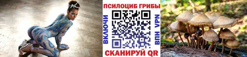 купить   Питкяранта  Галлюциногенные грибы Psilocybine cubensis 